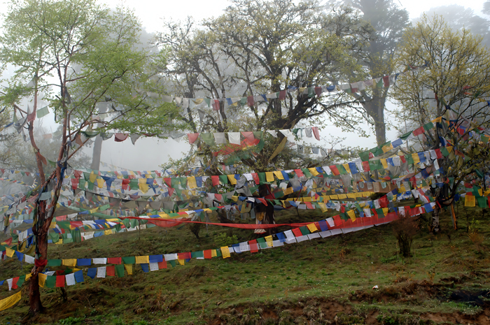 Bhutan_06_005