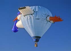 Hot Air Ballon Photo
