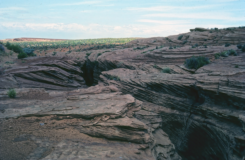 Arizona_82_008