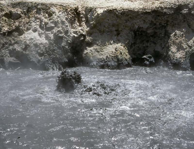 Caribbean_83_011