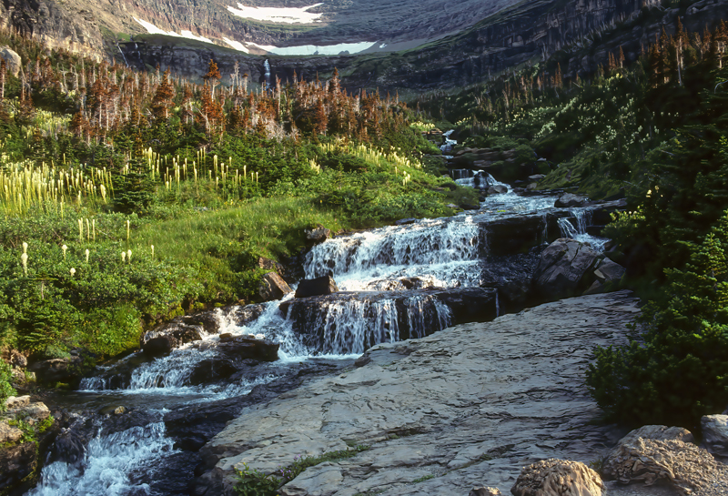 Glacier_Park_89_022