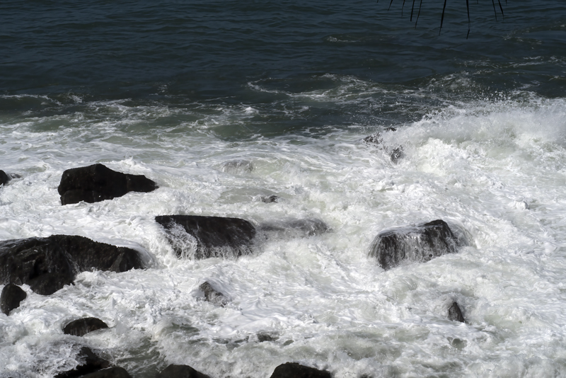 La_Cusinga_17_Costa_Rica_009