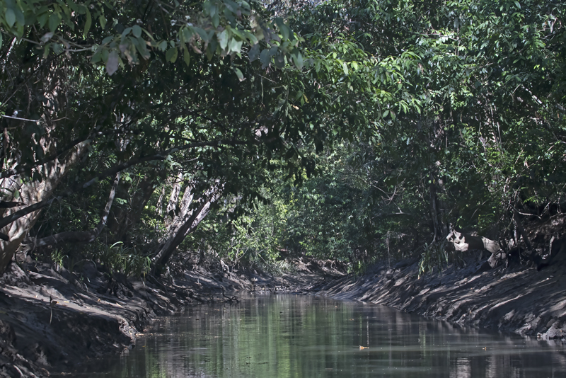 La_Cusinga_17_Costa_Rica_011