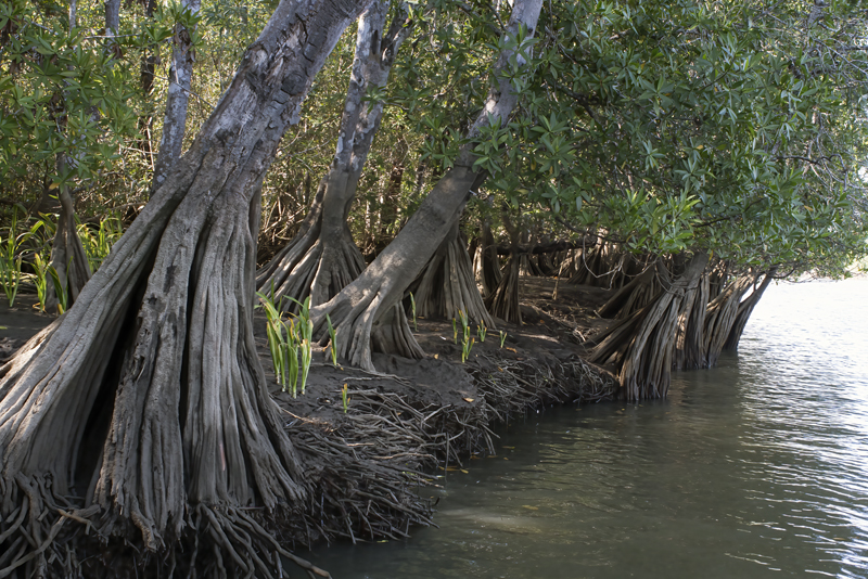 La_Cusinga_17_Costa_Rica_018