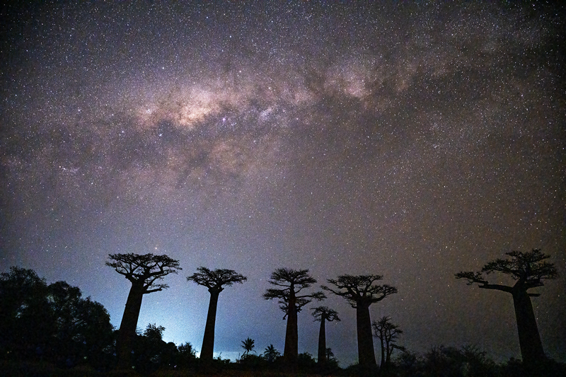 Milky_Way_24_Madagascar_029