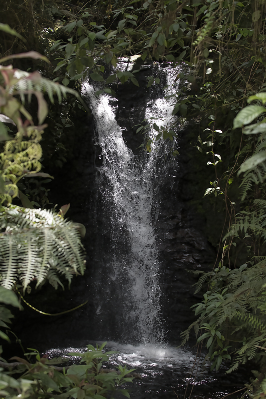 Montana_Suria_17_Costa_Rica_007