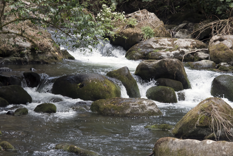 Montana_Suria_17_Costa_Rica_023