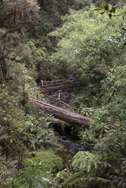 Montana_Suria_17_Costa_Rica_043