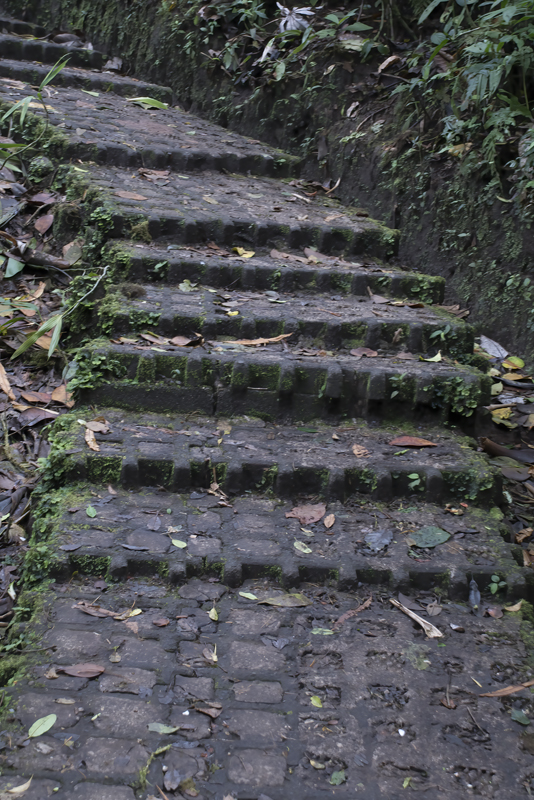 Monteverde_17_Costa_Rica_030