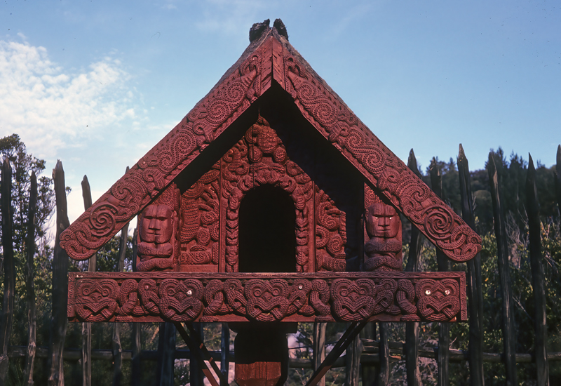 New_Zealand_95_016