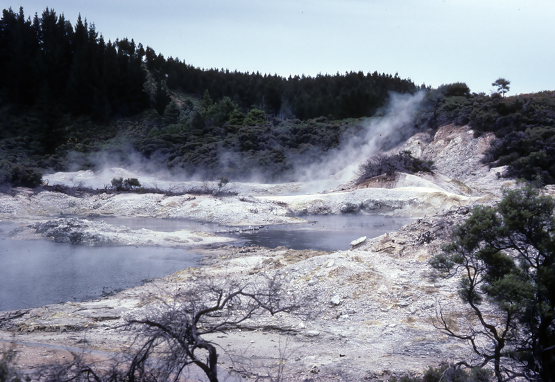 New_Zealand_95_027