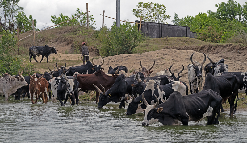 River_Trip_24_Madagascar_067