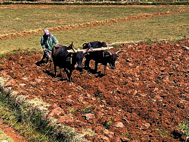 Scenery_24_Madagascar_002