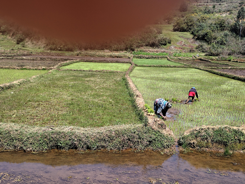 Scenery_24_Madagascar_006