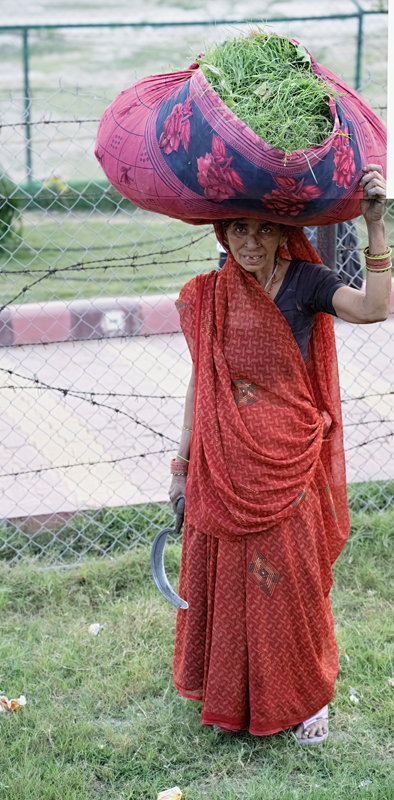 Taj_25_India_999