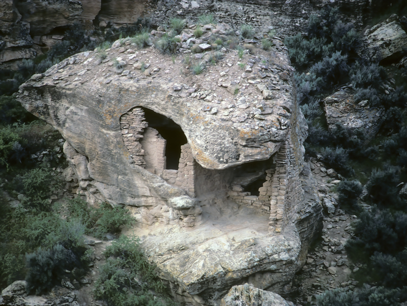 Utah_82_015