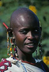 Maasai Village
